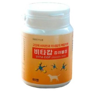 비타캅 츄어블정 종합비타민 영양제 60정, 10500원, GSSHOP
