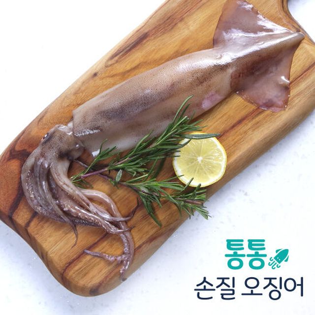 [올타] 통통손질오징어 총 18미 2.16kg