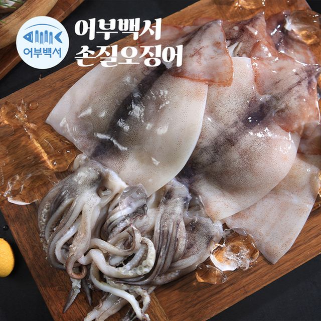 촉촉한 손질 오징어 大 사이즈 20미+오징어채 7팩 (총 3.1kg)