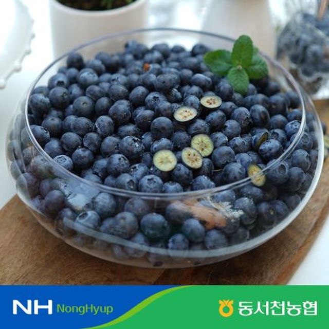 2022 동서천농협 햇 블루베리 (100G*10팩)