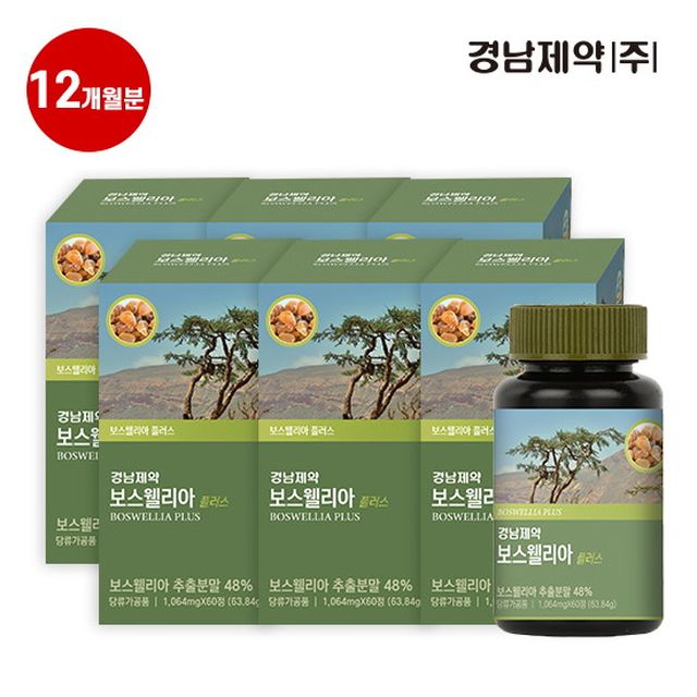 ●[SALE/더블] 경남제약 보스웰리아 플러스 12개월(1,064mg*60정*6병)