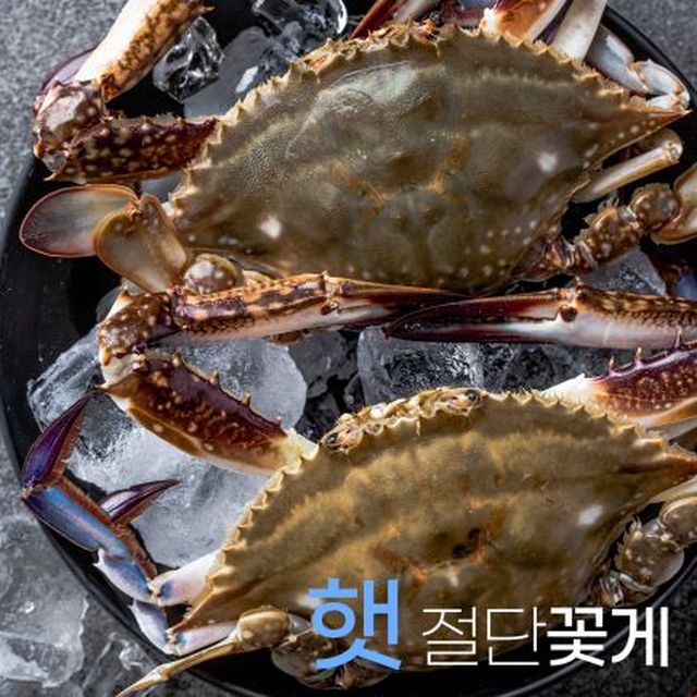 ★2023년 가을 햇★ 절단꽃게 350g×9팩 총 3.15kg!!