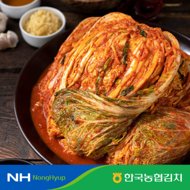 [23년]한국농협김치 포기8kg+총각2kg