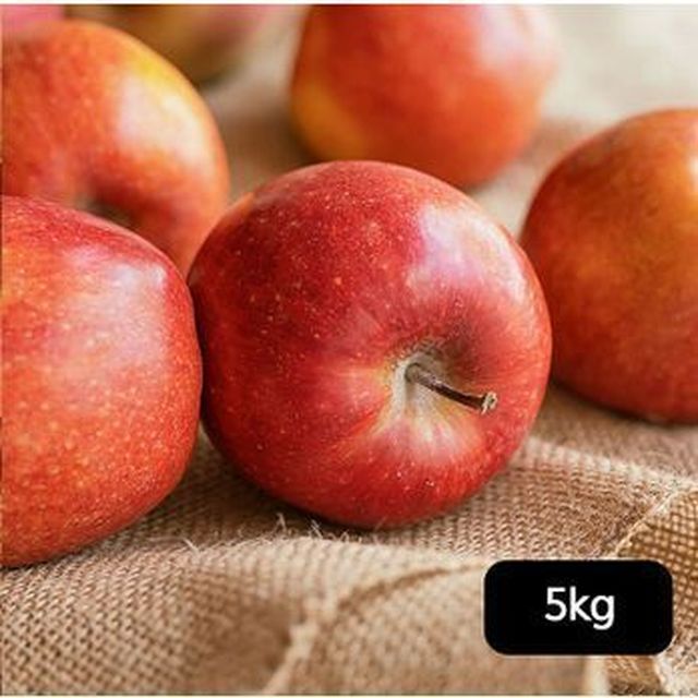 열매나무 못난이 후지 사과 2.5kg+2.5kg(총 5kg)