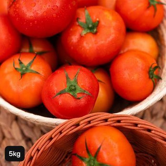 스마트팜 토마토 5kg