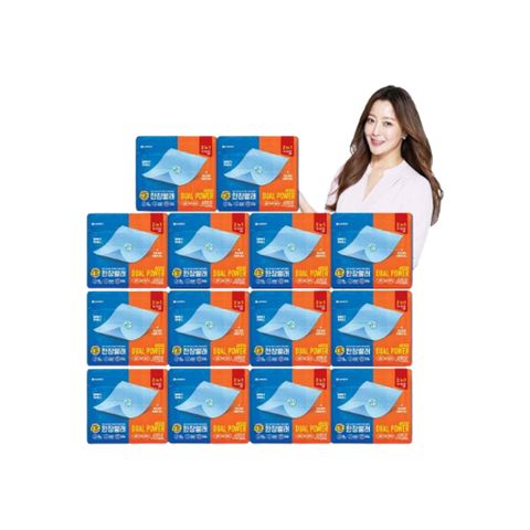 테크 한장빨래 듀얼파워 14팩(210매)