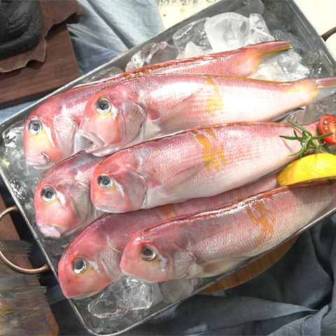 제주산 옥돔 150g x 8마리 총 1.2kg 이상