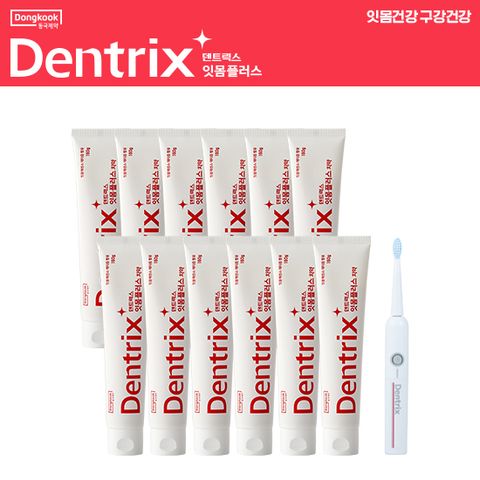 덴트릭스 잇몸플러스치약160g 12개 + 음파진동칫솔 1개