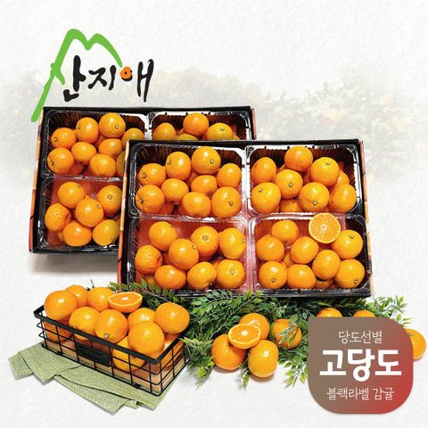 산지애 고당도 블랙라벨 제주 감귤 8kg (1kg*4팩*2박스)