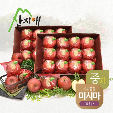 산지애 사과 5.4kg (2.7kg*2박스)
