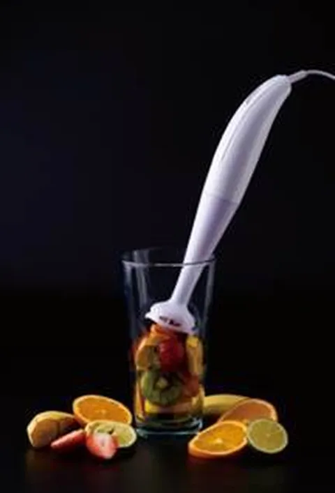 [단품] 아미 핸드블랜더 