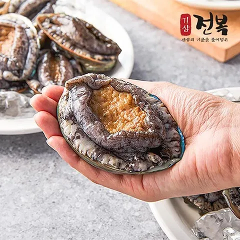 진도 기삼 왕특대이상 활전복 140g이상 10미(1.4kg)