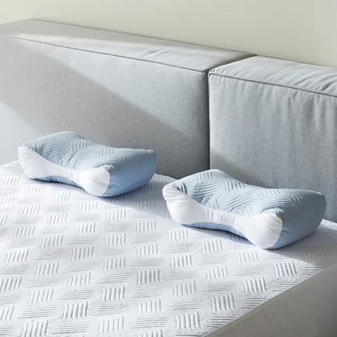 기절베개 홈랩 알러큐어 그린체인지 경추베개 2종