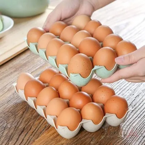 셀러허브 생활리빙 계란트레이 에그홀더 수납용기정리판 1p 계란보관용기