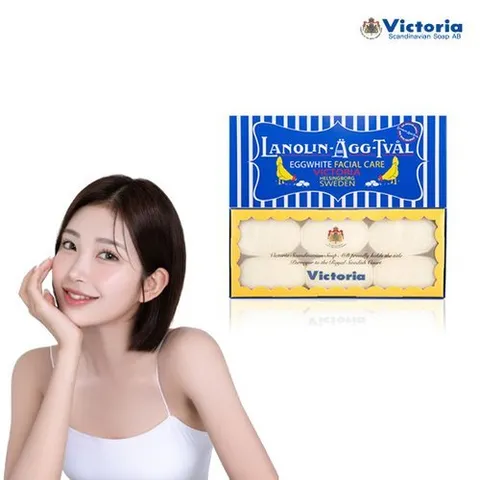 기타 (공식판매처)NEW 스웨덴에그팩 건성용 6P (300g)