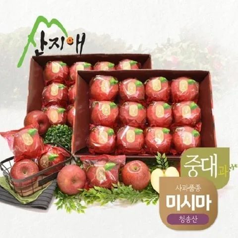 기타 산지애 씻어나온 꿀사과 3kg 2box (중대과) / 청송산 미시마 당도선별
