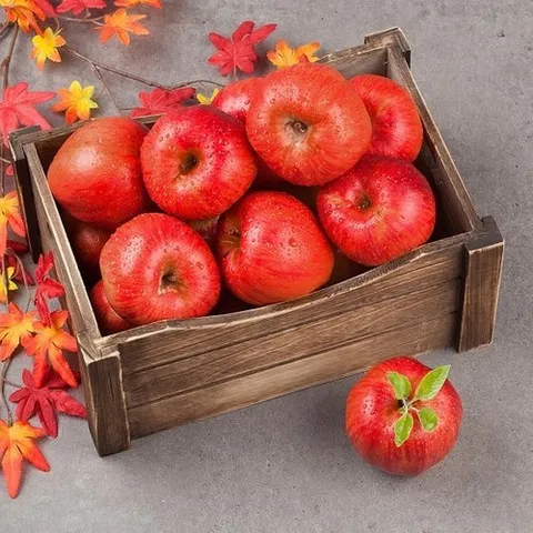 좋은맛닷컴 [자연예서] 부사 사과 5kg 고당도 고랭지 (18-20과)