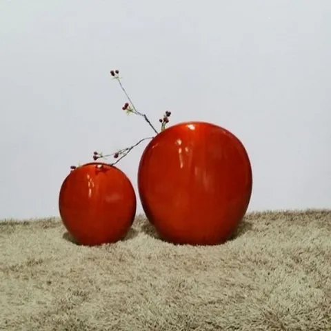 패션플러스 [셀럽하우스] 레드화병(A50C)(A51C) CSJMMLVL (17)