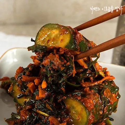 자이담 전라도 빛고을 오이소박이 5kg