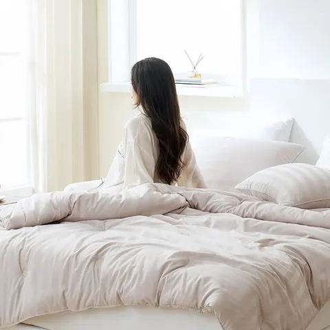 에어룸 먼지없는 호텔식 침구 알러셀 뉴도비직 이불베개세트 SS
