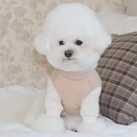 셀러허브 패션 [JHP212QQ_51CM]오가닉 베이직 티 도트 XL