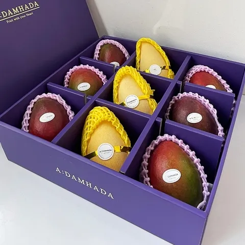 기타 [프리미엄]망고혼합선물세트 10호 4.5kg내외(애플망고6+노랑망고3)