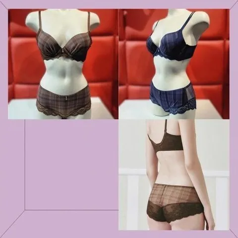 비너스 플러스 프렌치 체크 레이스 브라 여성팬티 SBRD477DSG