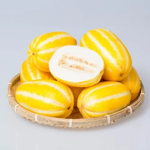 착한식탁 T 꿀달달 가정용 성주 참외 10kg 랜덤과