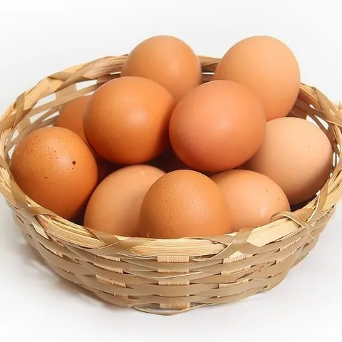 기타 [쿠폰혜택가 15,630원] 에그온 난각번호1번 무항생제 유정란 40구