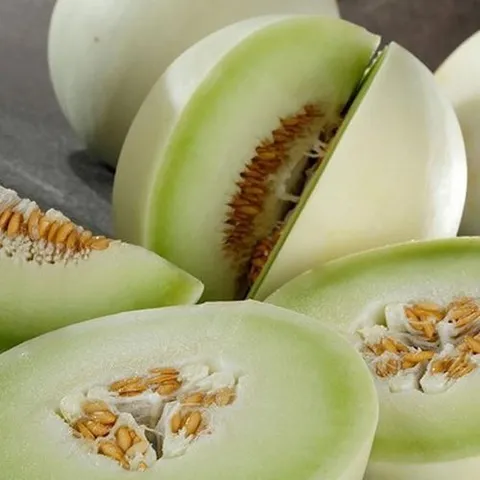 셀러허브 식품 고당도 미국산 허니듀 멜론 9kg 내외 3수입 허니듀 메론 고당도 멜론 한박스 허니멜론 하얀메론 허니메론