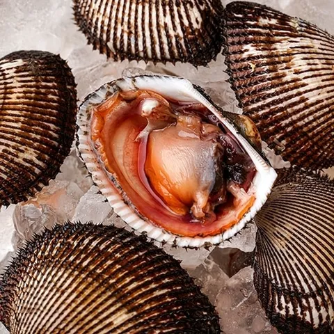 자연맛남 [산지직송] 남해안 피조개 피꼬막 3kg 45-60미