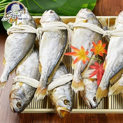 오양굴비 영광 법성포 오양굴비 보리굴비 10마리 부세5호 (26cm이상)