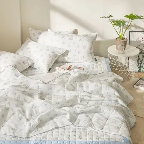 패션플러스 [샤이닝홈 하이] 아밍 파밍 냉감 스프레드 Q 베개세트