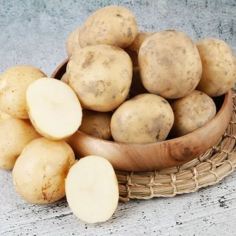 기타 [T]농담 국내산 하우스 햇감자 왕특 5kg