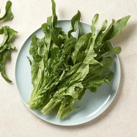 우리가락 [새벽배송][우리가락]오크(오클립) 500g