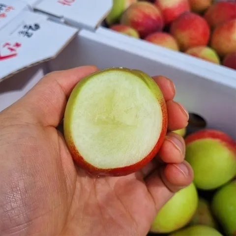 프레쉬푸드 산지직송 국내산 신선 신비복숭아 로얄과 3kg (35과 이상)