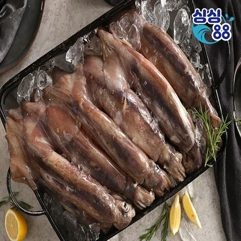 싱싱88 급속냉동 간편 손질 통 오징어 220gx5팩 (10마리)