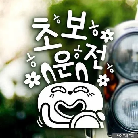 셀러허브 패션 [JHQSZ66Y_51C0]자동차스티커 ㅎㅎㅎ초보운전 화이트시트지