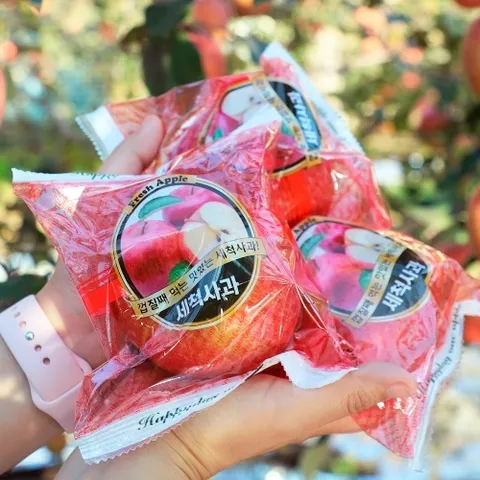 기타 [오늘아침사과] 오늘아침 세척사과 5kg 22과