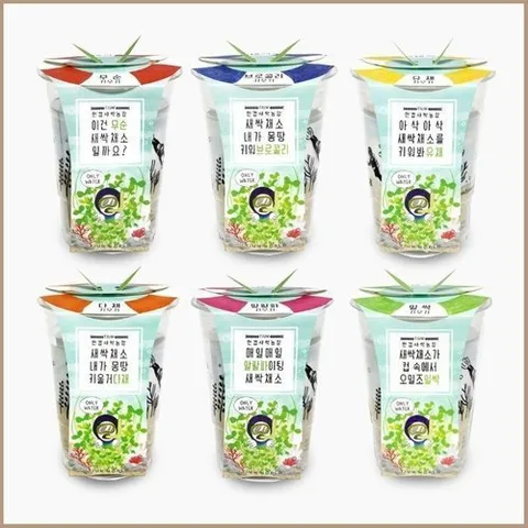 셀러허브 생활리빙 한컵속 작은 새싹 채소 농장 키우기 세트