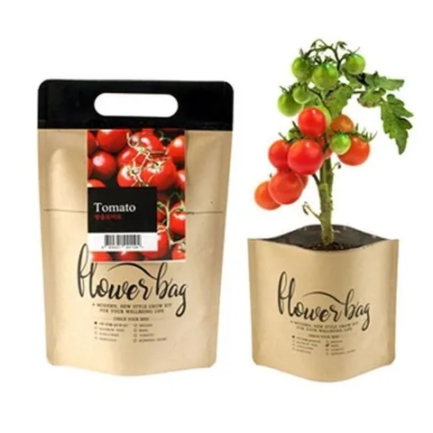 셀러허브 1 [HYIJMV2O_4B]미니 거실화분인테리어 방수화분 재배 세트