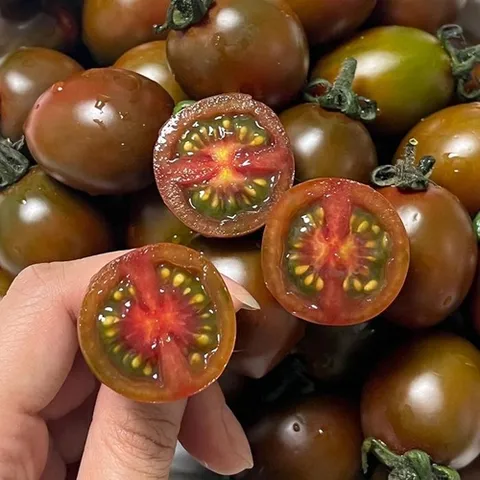 셀러허브 식품 대저 흑 대추 방울 토마토 500g 흑방울토마토 대저방울토마토 대저토마토 흑토마토 찰토마토 흑 대추토마토