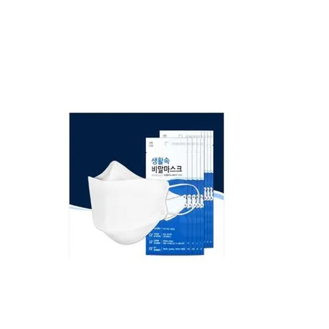 기타브랜드 생활속 비말 마스크 KF-AD 10매 식약처허가 입체형