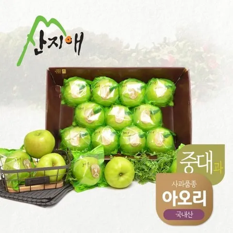 기타 산지애 씻어나온 초록사과 2.7kg 1box / 봉지 세척사과, 아오리 사과
