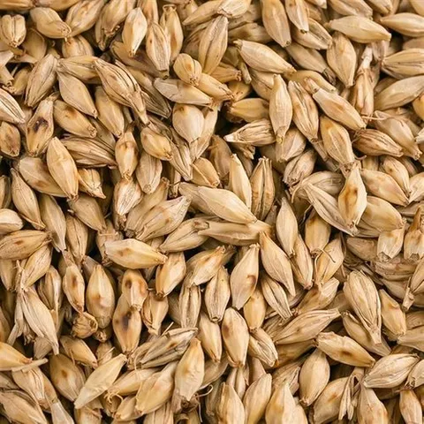 셀러허브 식품 몸에좋은 영양 보리차 1kg 맥아 건강 직장인 식수대용