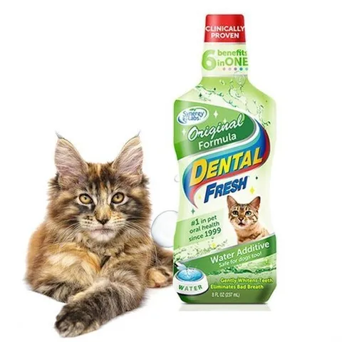 셀러허브 1 [HYIJDTE9_4B]덴탈후레쉬 오리지널 236ml 물에 오랄케어