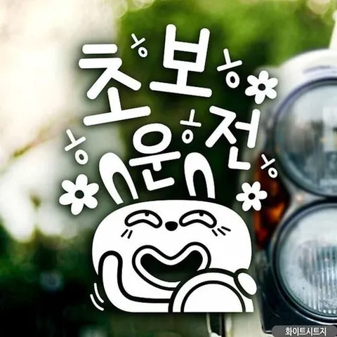 셀러허브 패션 [JHQRT479_4A]ㅎㅎㅎ초보운전 화이트시트지 자동차스티커