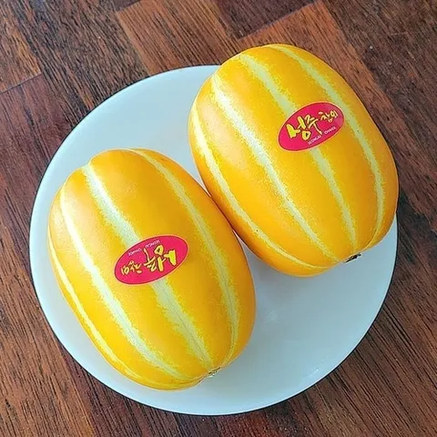 셀러허브 식품 정품 성주 꿀 참외 10kg 50-60과 소과 봄참외 성주참외 맛있는 참외 선물 하우스참외  (45896453)