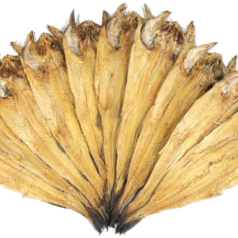 기타 [청정설악] 용대리 황태포 10미 특/40~42cm