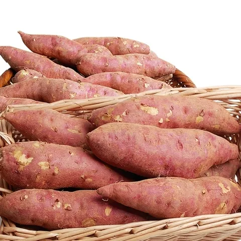 기타 [농부손길]꿀 고구마_2kg(중_개당 60~100g)